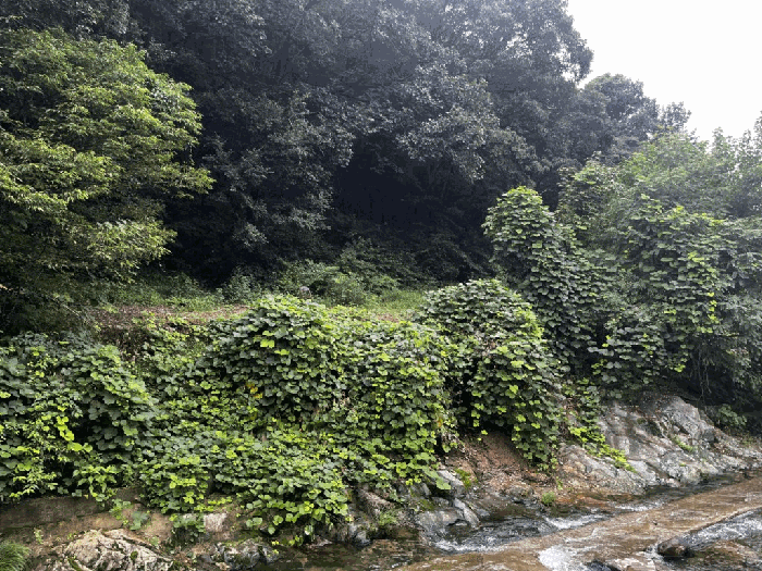 사진 7