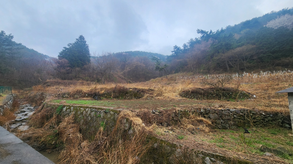 사진 1