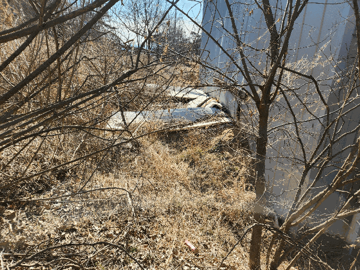 사진 14