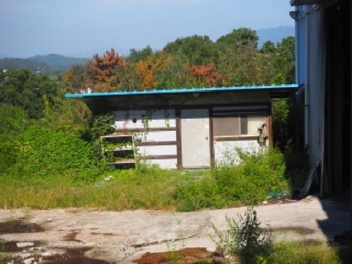 사진 4