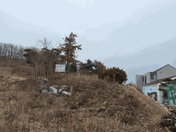 사진 11