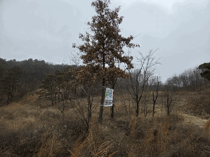 사진 14