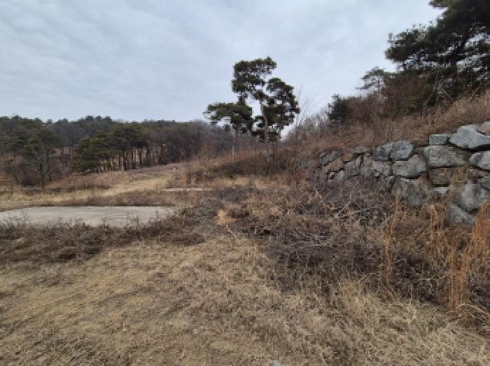사진 3