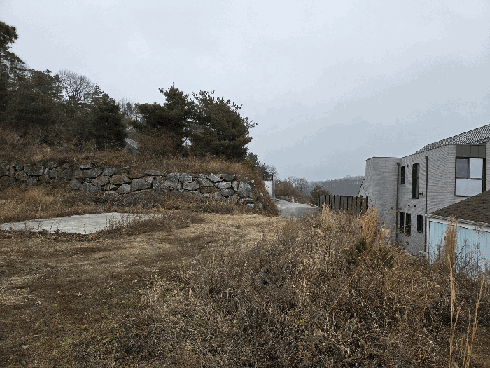 사진 8