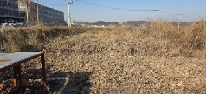 사진 24