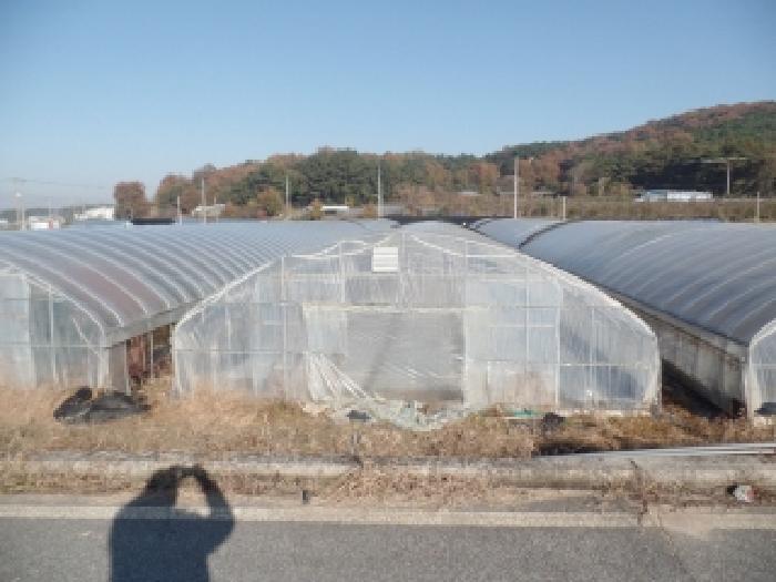 사진 4