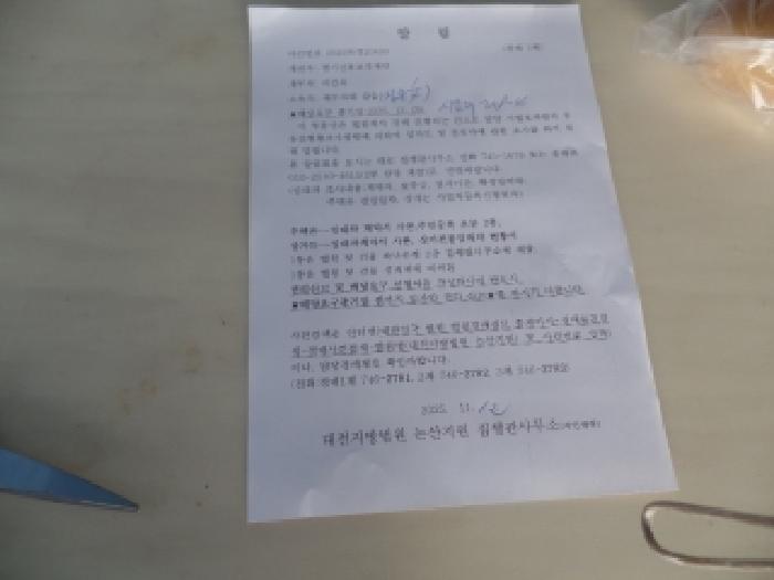 사진 11