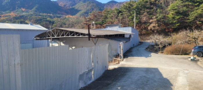 사진 12