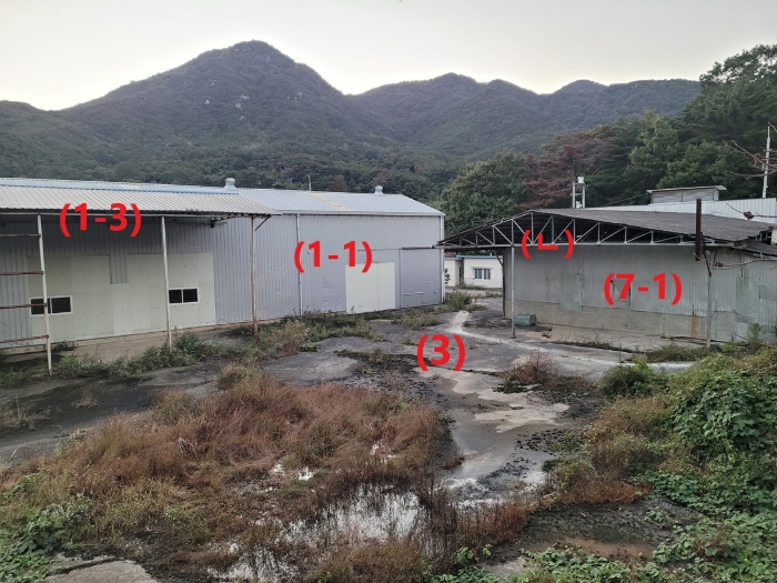 사진 42
