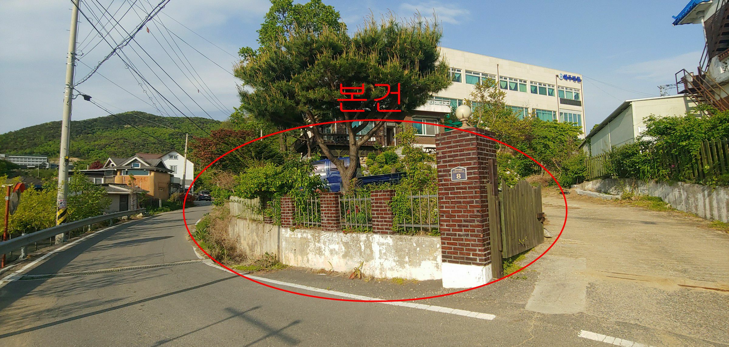 사진 1