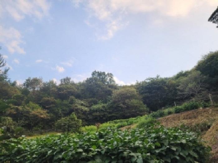 사진 1