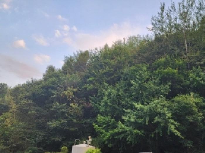 사진 7