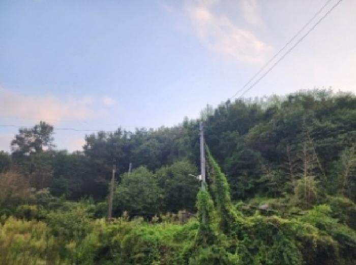 사진 8