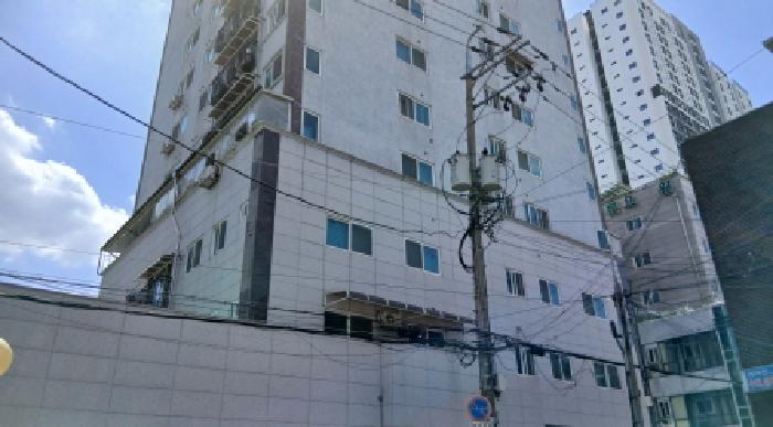 사진 13