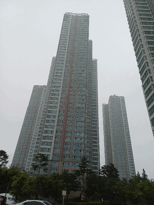 사진 5