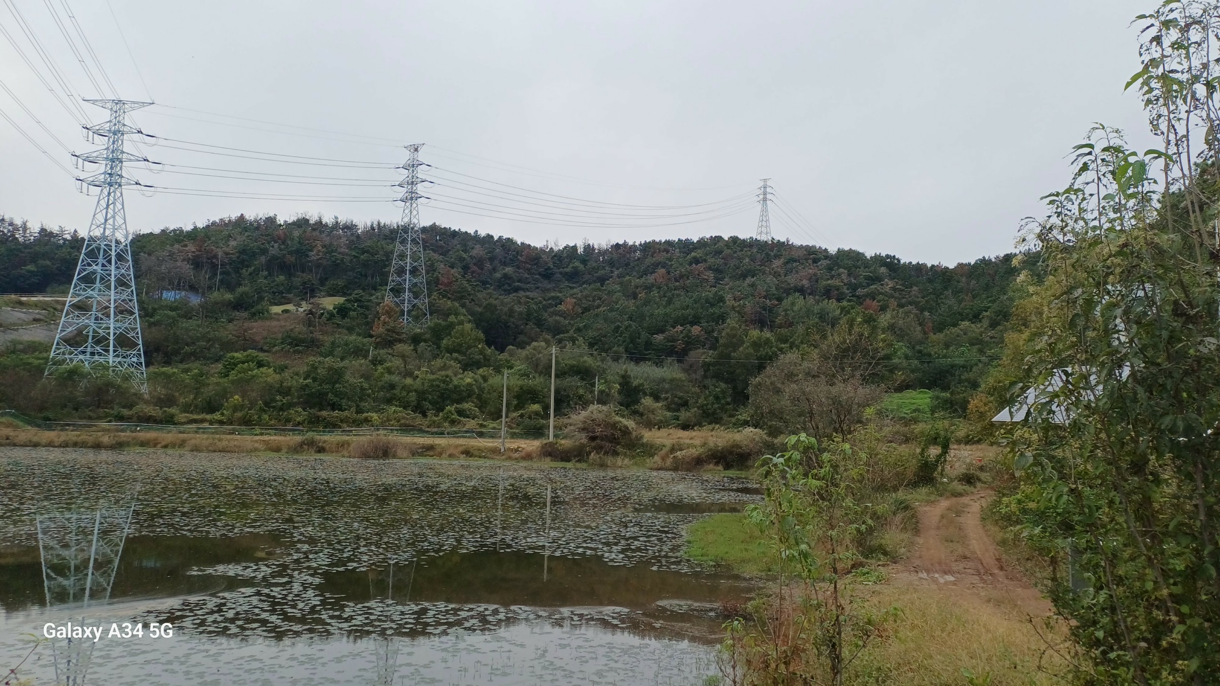 사진 1