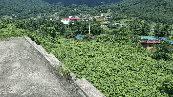 사진 12
