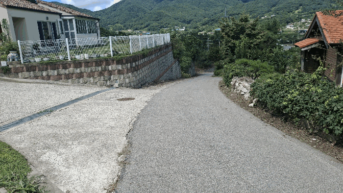 사진 13