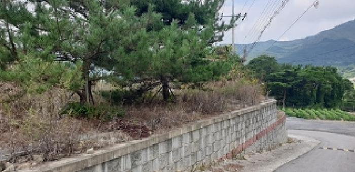 사진 3