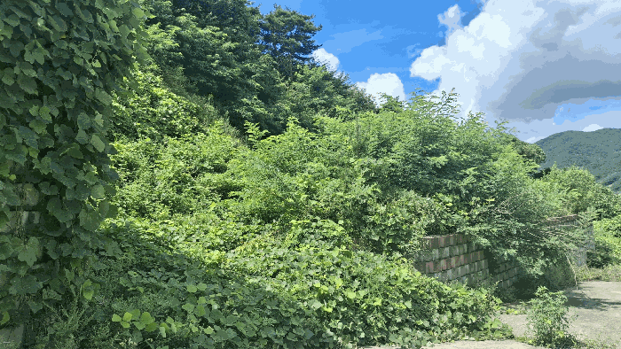 사진 26