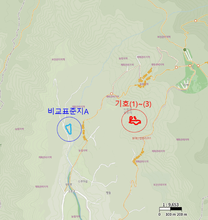 사진 12
