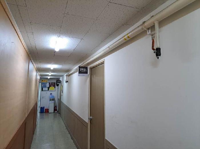 사진 5