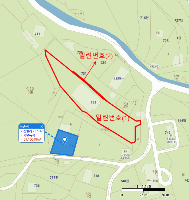 사진 10