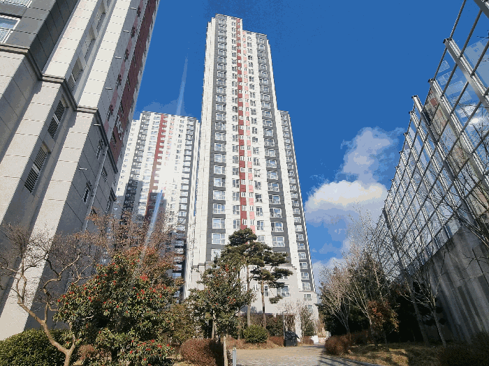 사진 1