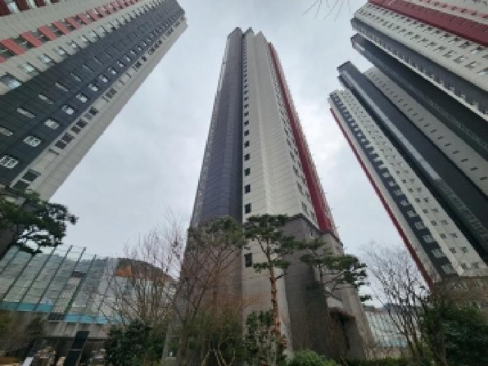 사진 6
