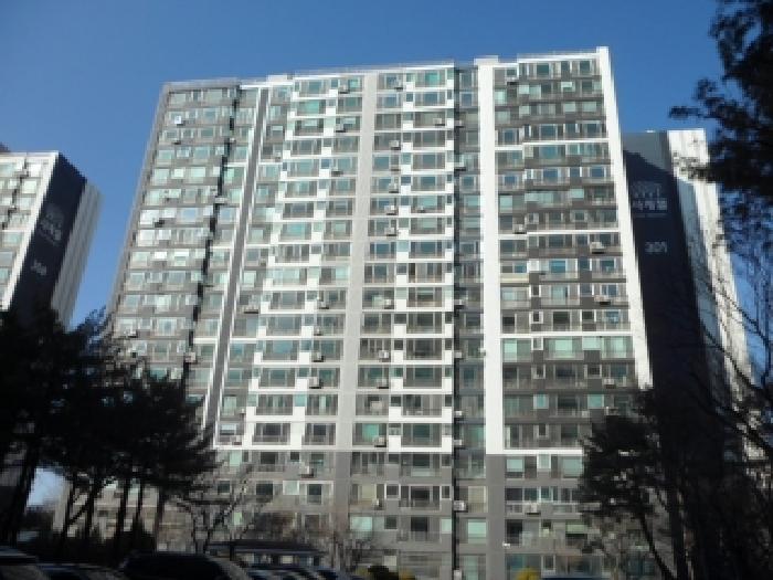 사진 8