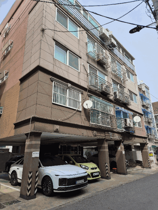 사진 5