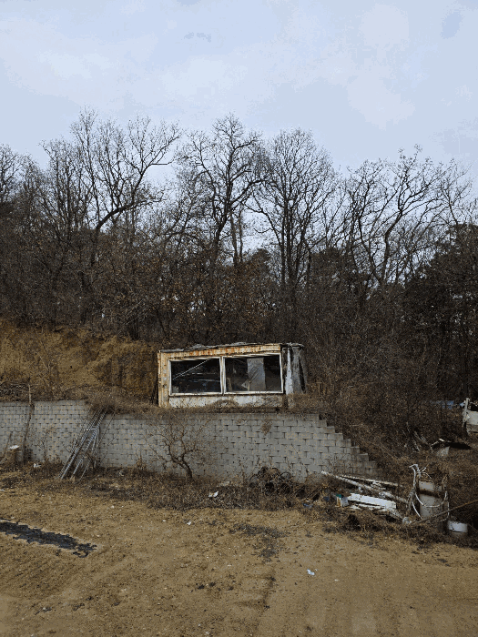 사진 21