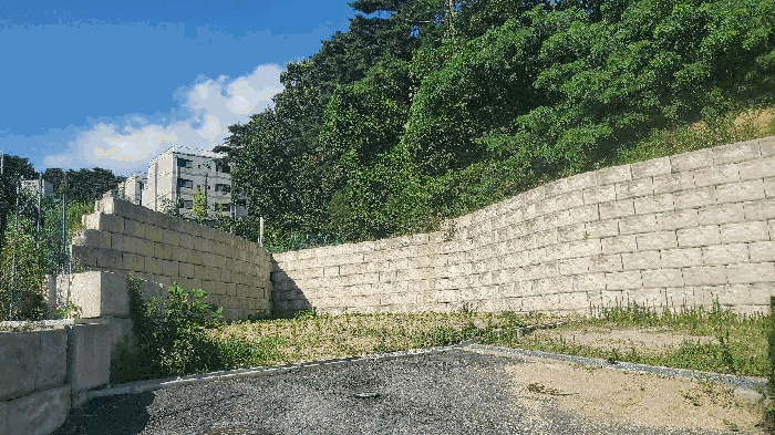 사진 12