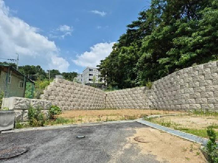 사진 2
