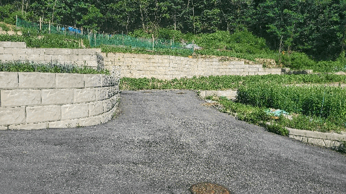 사진 7