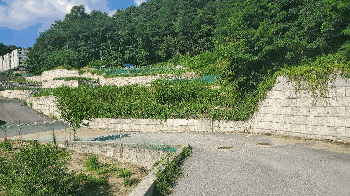 사진 9