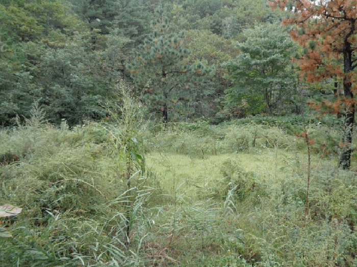 사진 10