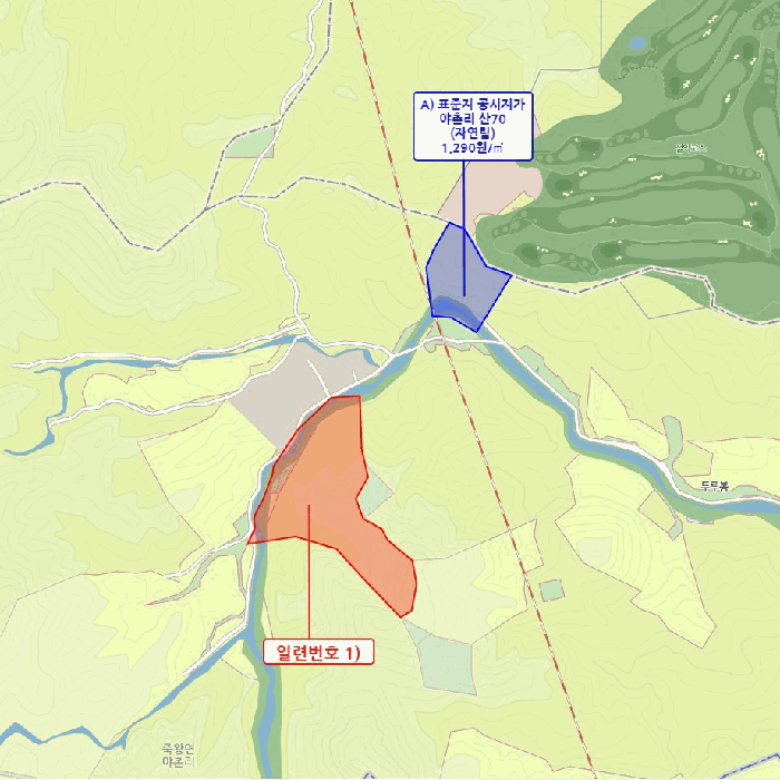 사진 6