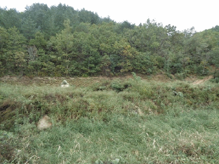 사진 1
