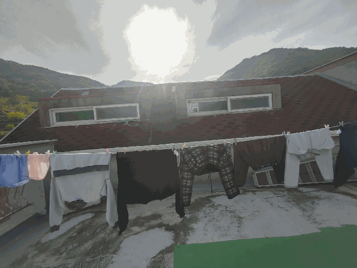 사진 13