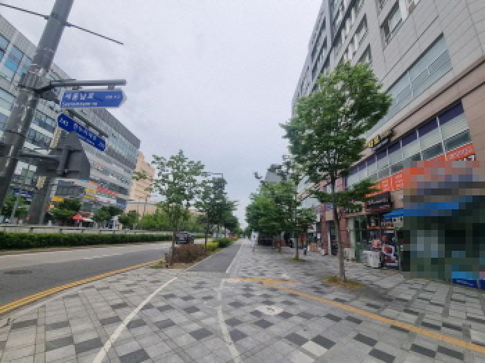 사진 15