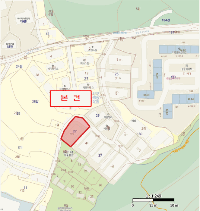 사진 13