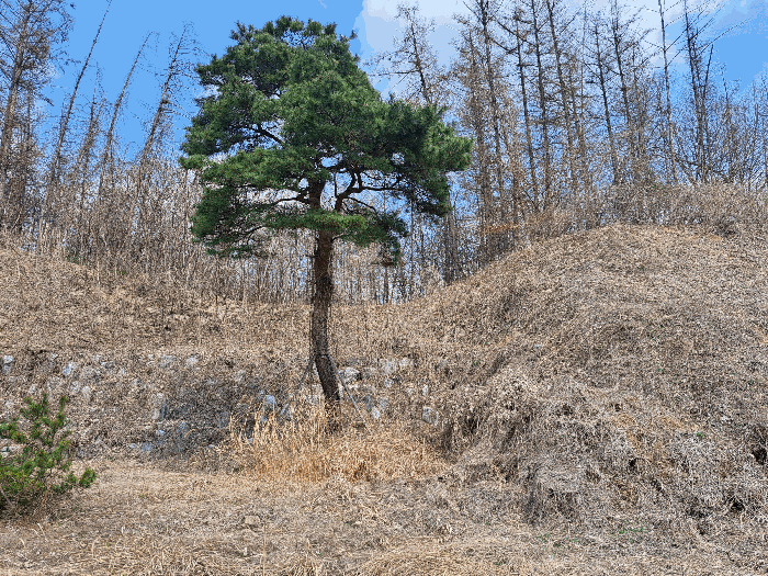 사진 3