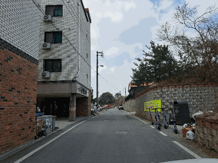 사진 9