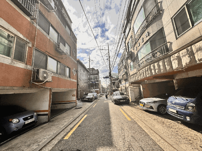 사진 9