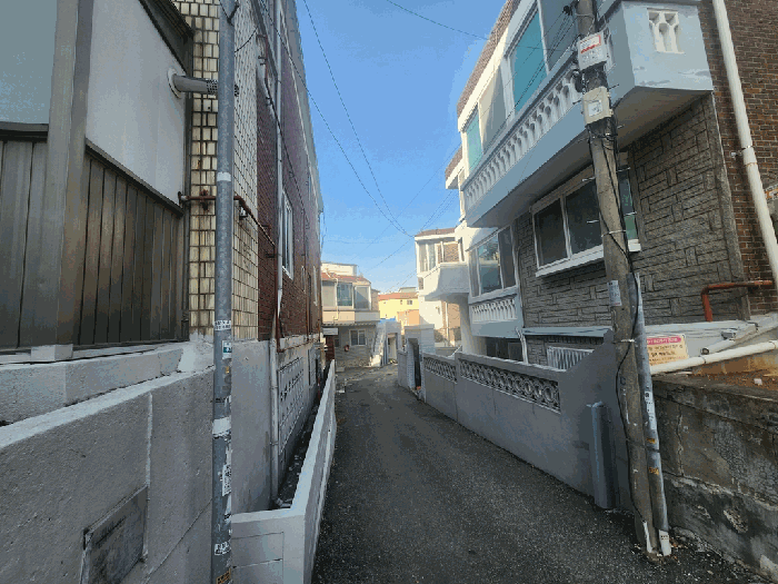 사진 11