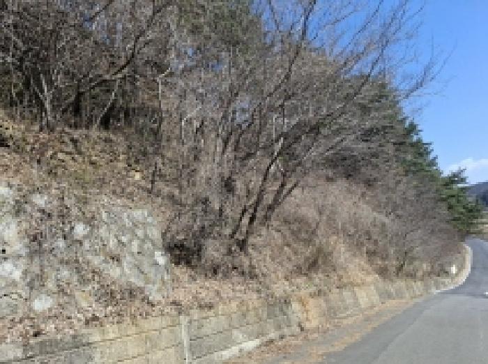 사진 12