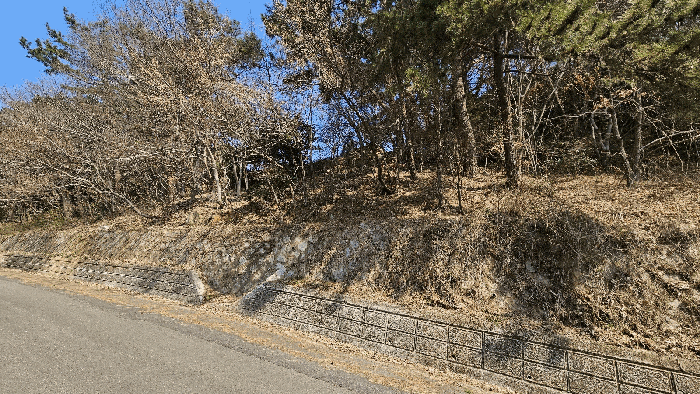 사진 3