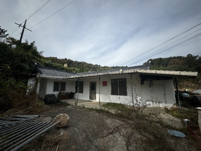 사진 1