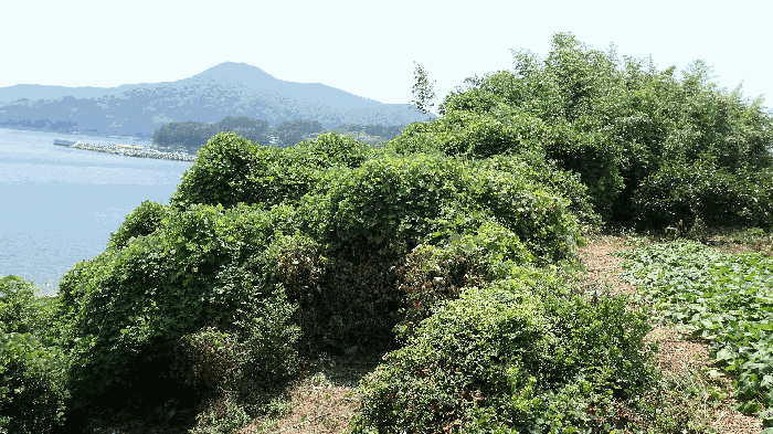 사진 10